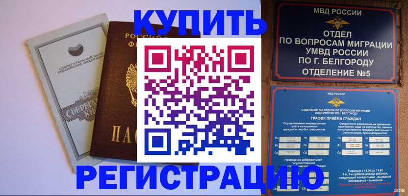 прописка гарантия в Шилке